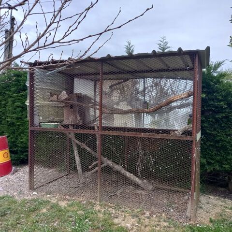 Cage voli&egrave;re 300 31350 Boulogne-sur-gesse