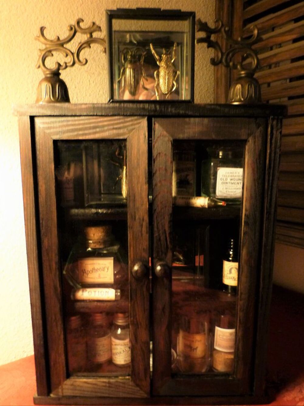 Petit Cabinet de Curiosit&eacute;s"SCIENTIFIC OFFICE XIX" Steampunk Décoration