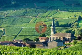  Immeuble  vendre 390 m