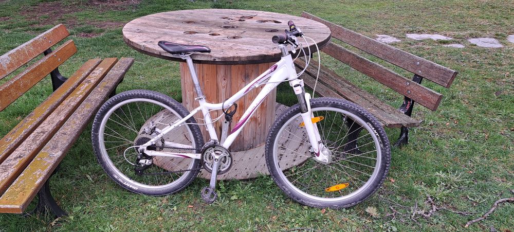 v&eacute;lo de femme giant Vlos