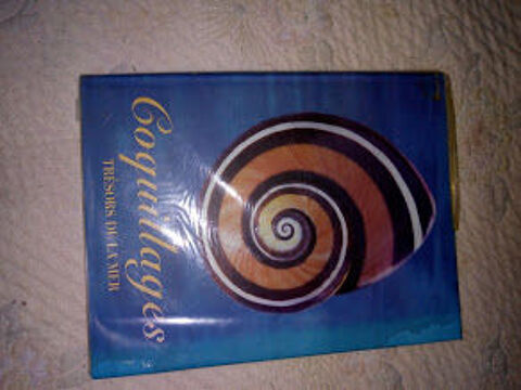 Coquillages 15 Pluneret (56)