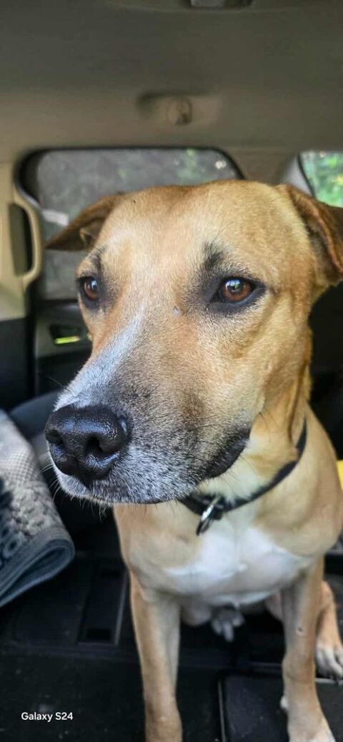 A&Iuml;KO la douceur des &icirc;les 350 60000 Beauvais