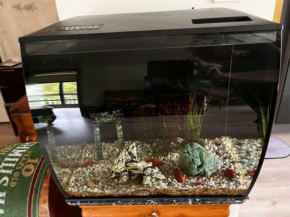 Aquarium 57L FLUVAL Décoration