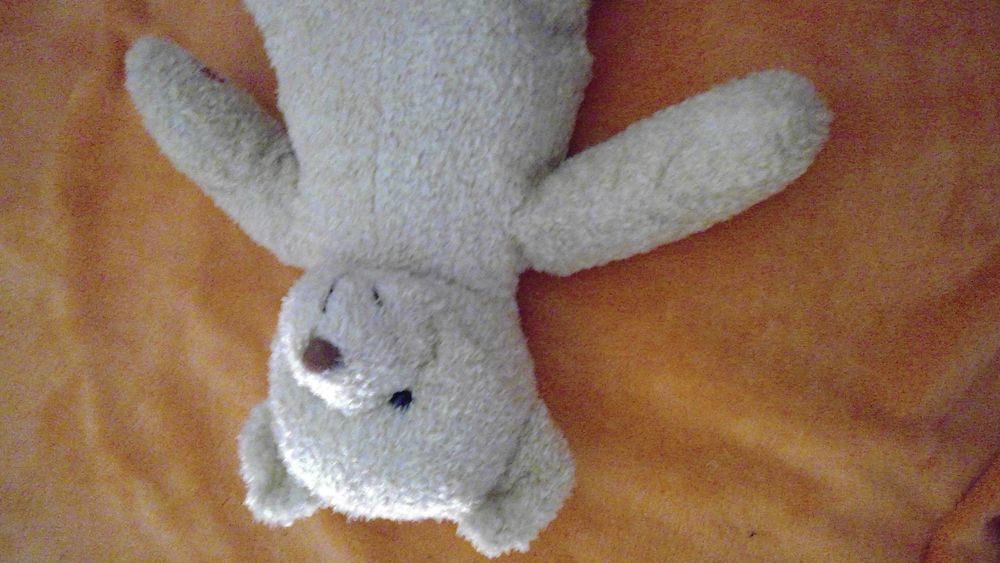 PELUCHE N&deg; 16
OURS CLAIR 40 CM ENVIRON
Jeux / jouets