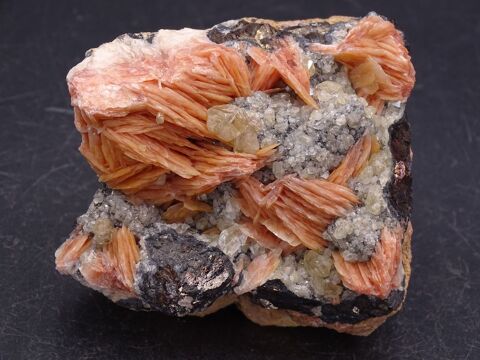 Cristaux de Cérusite & Baryte crêtée & Galène (fluorescence 49 Bertrichamps (54)