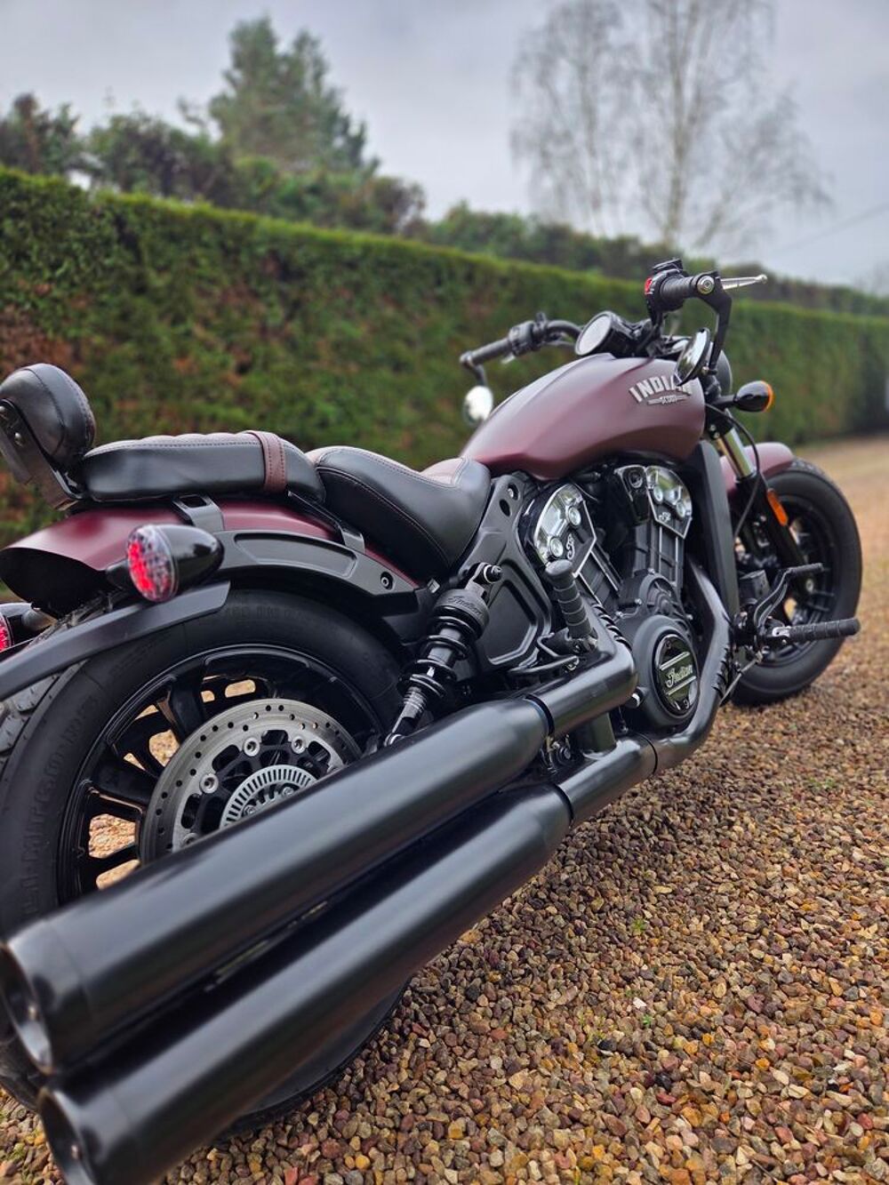 INDIAN 2022 occasion 19240 Allassac