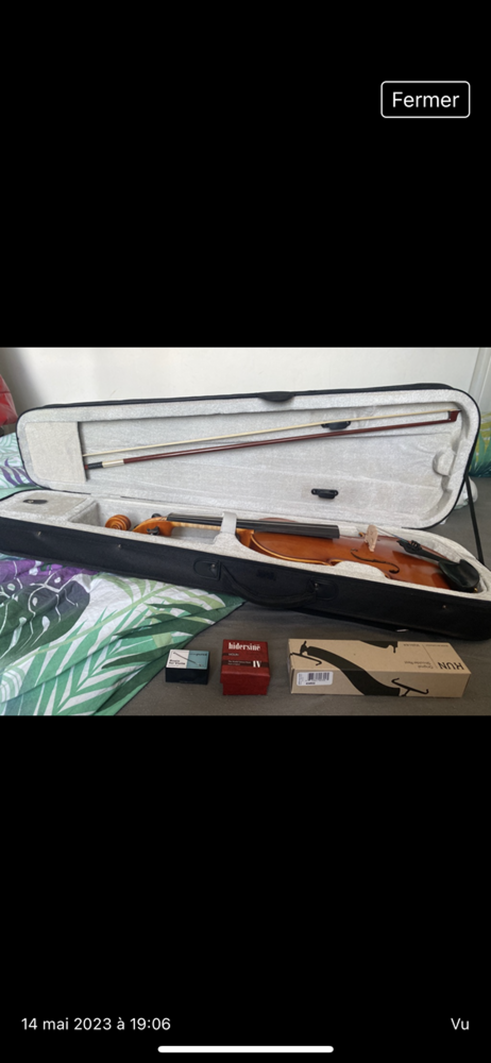 violon Instruments de musique
