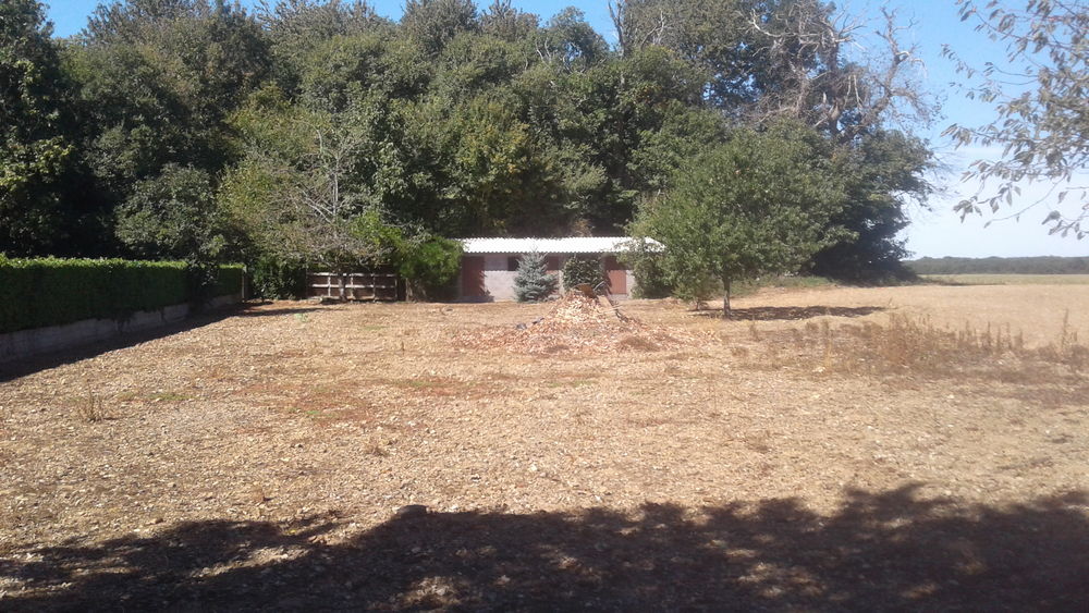 Vente Terrain TERRAIN CONSTRUCTIBLE 910 M² Saint-pierre-d'exideuil