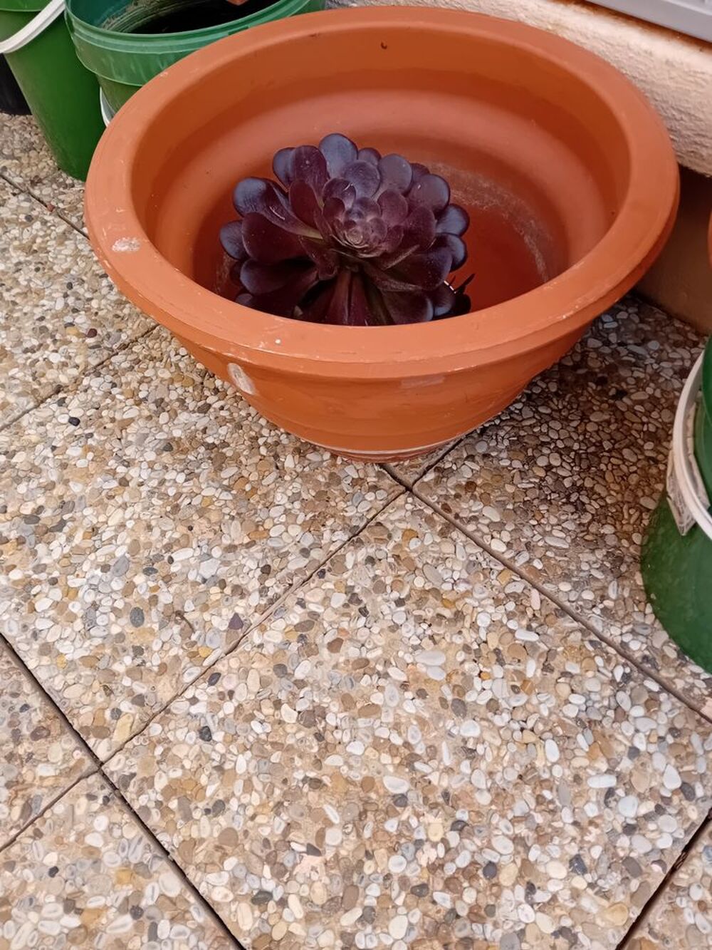 POTS DE FLEURS A GOGO &agrave; partir de 3€ pi&egrave;ce le pot 
et plante Jardin