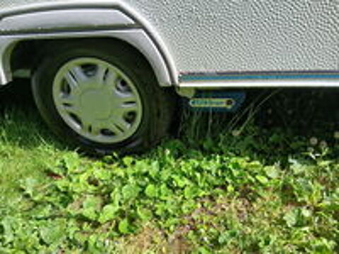  2004 occasion 71480 Condal