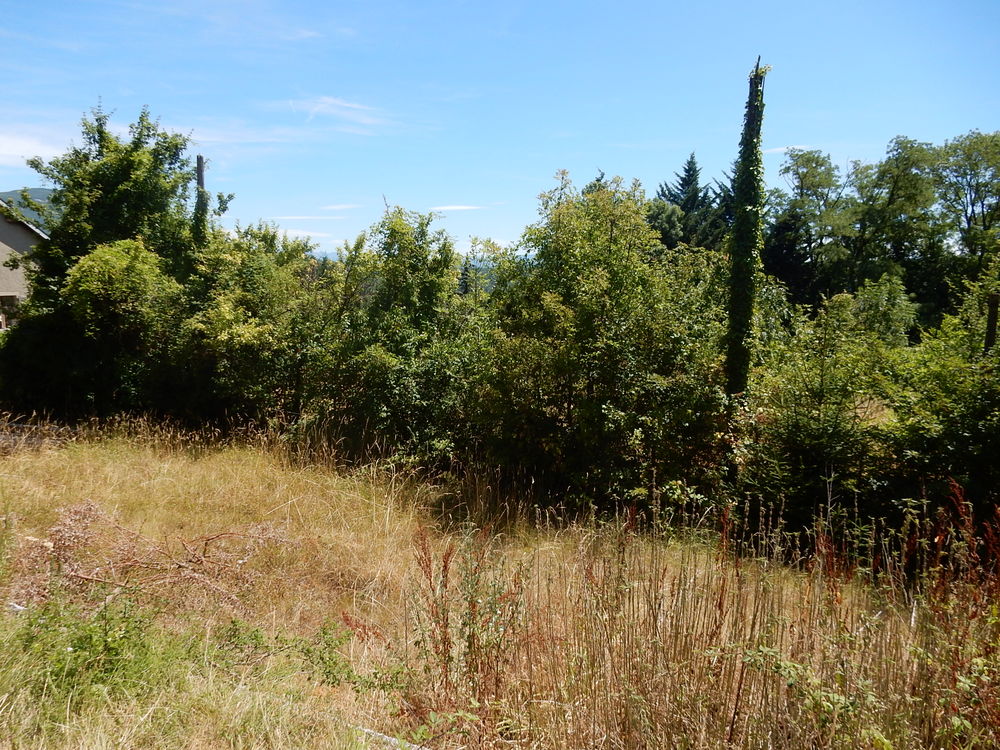 Vente Terrain Terrain de 2029m² constructible - Non Viabilisé Léaz