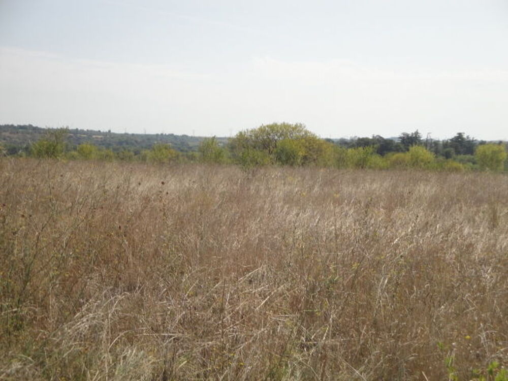 Vente Terrain Terrain agricole de 9343 m2 apte à passer constructible Nézignan-l'Évêque