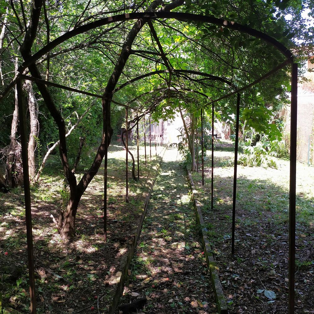 Vente Maison MAISON de charme + JARDIN constructible + STUDIO -TERRASSE Toulouse