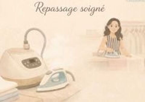   repassage domicile 