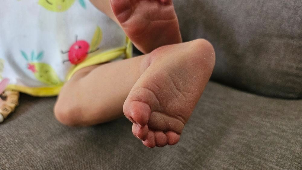 Reborns 