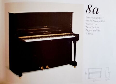 C. BECHSTEIN : modèle 8A Noir piano Exceptionnel Toulouse (31)
