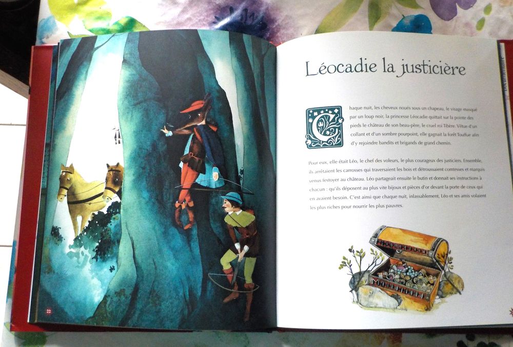 LES PRINCESSES de Agn&egrave;s LAROCHE et Xavi&egrave;re DEVOS Ed. Auzou Livres et BD