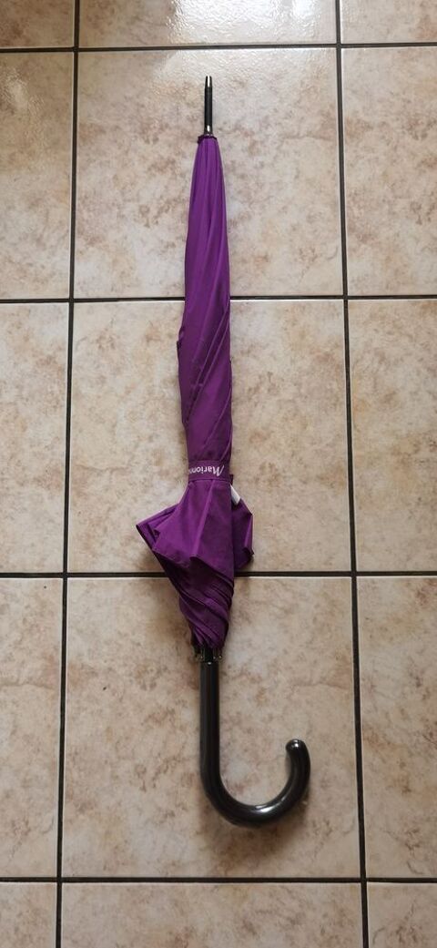 Parapluie violet 10 Dijon (21)