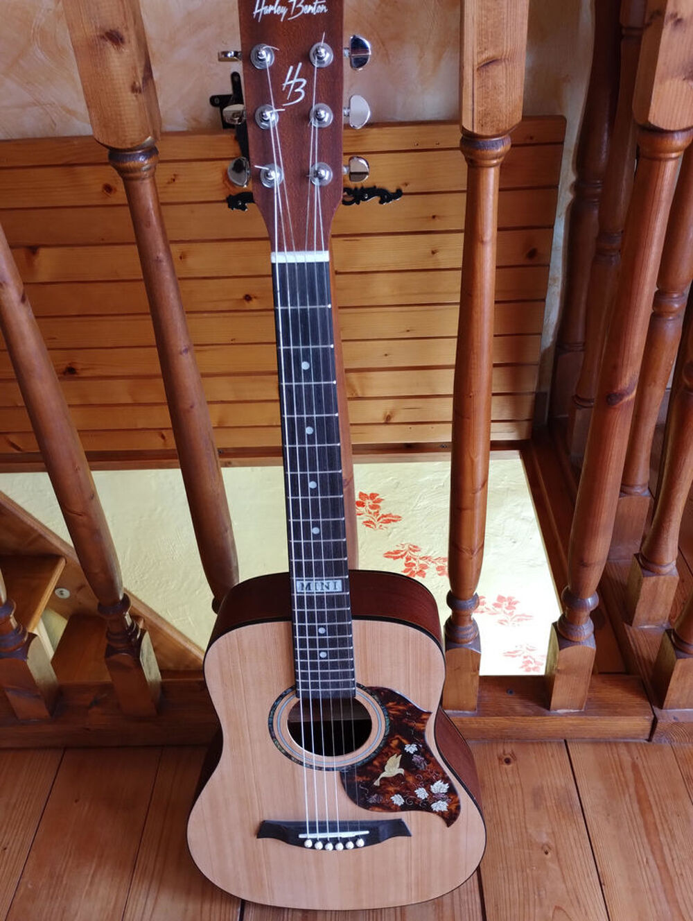 guitare Instruments de musique