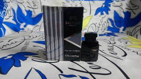 MINIATURE DE PARFUM 4 Trouy (18)