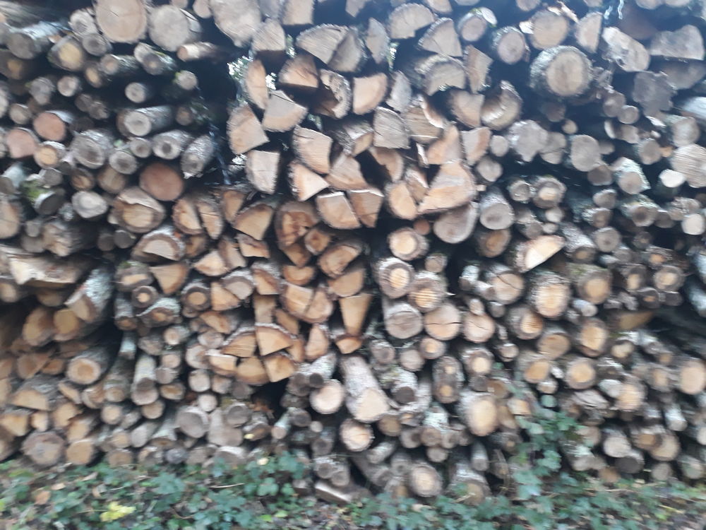 bois de chauffage sec Bricolage
