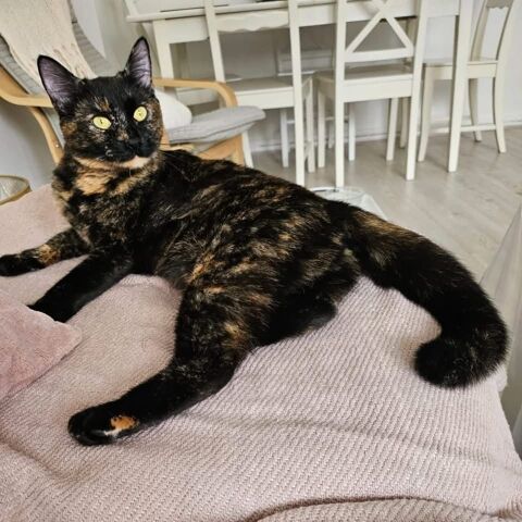 RUBIS est réservée 210 92400 Courbevoie