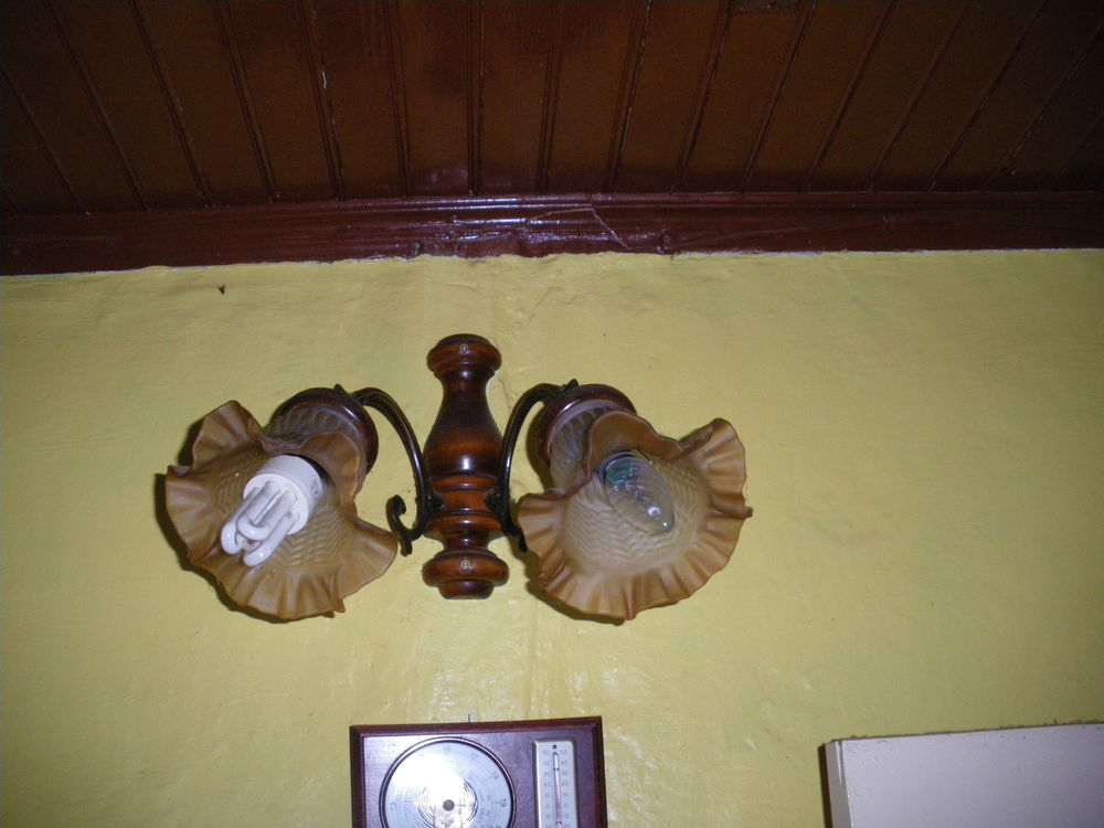 lot de 3 luminaires suspendus avec globes forme florales Décoration
