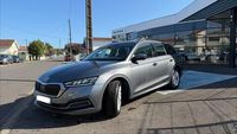 Octavia Combi 2.0 TDI 116 ch Business 2024 occasion 40100 Dax