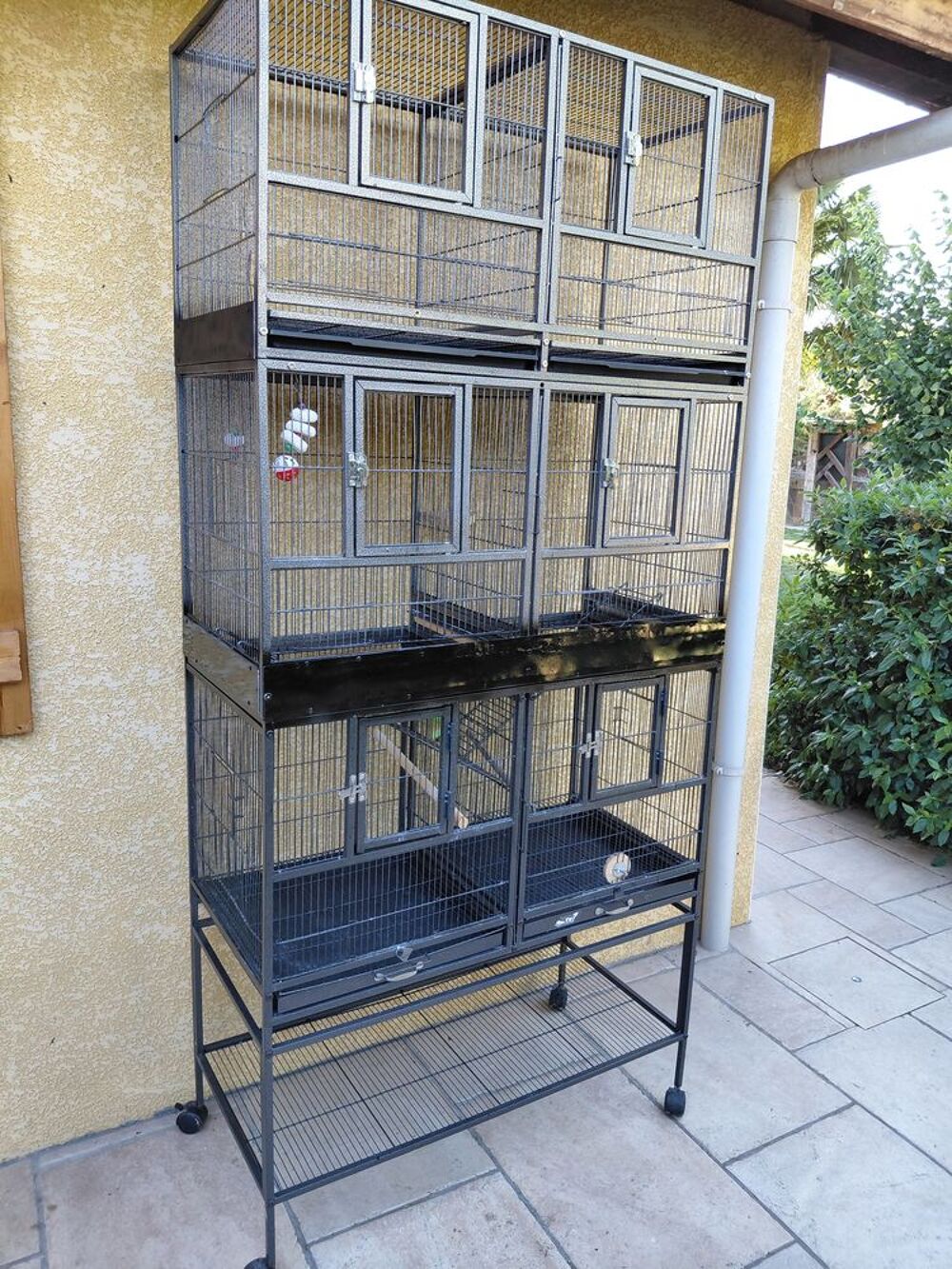   Grande cage  