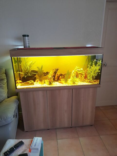 aquarium complet avec meuble et poissons 300 86330 Angliers