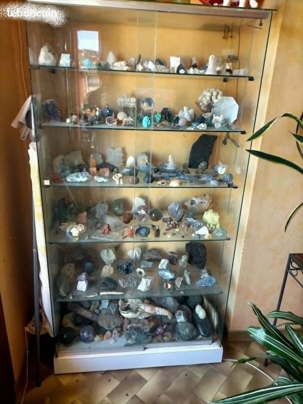 armoire-vitrine Meubles