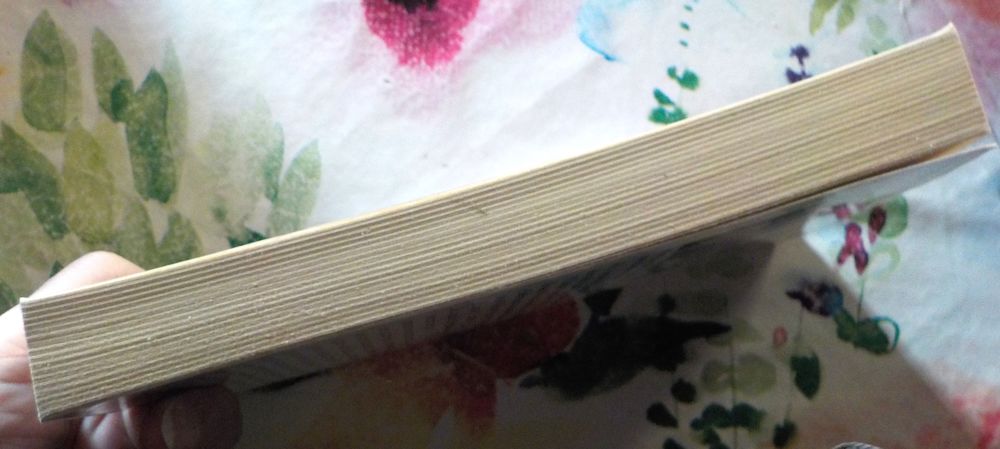 LA MEMOIRE FOLLE DE MOUCHI RABBINOU de Annie FITOUSSI Livres et BD