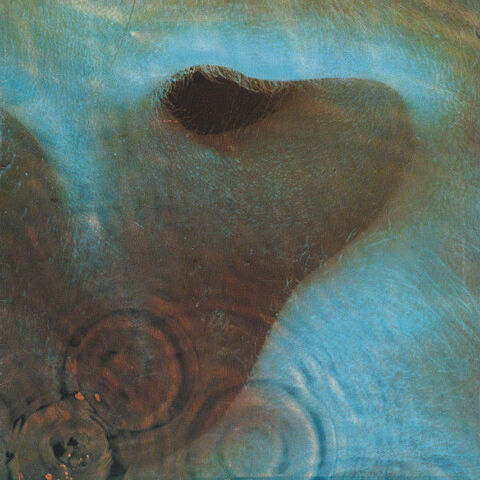 Disque vinyl 33 T Pink Floyd - Medle (1971) Caudebec-lès-Elbeuf (76)