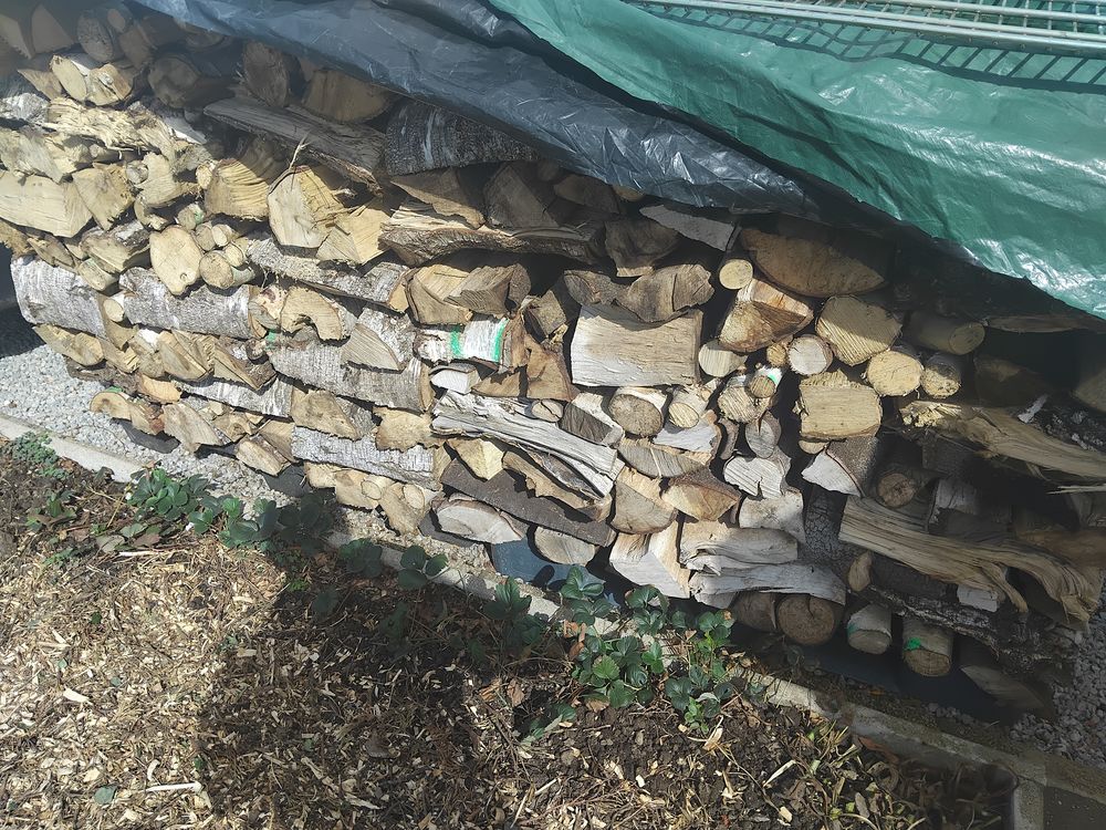 Bois sec Jardin