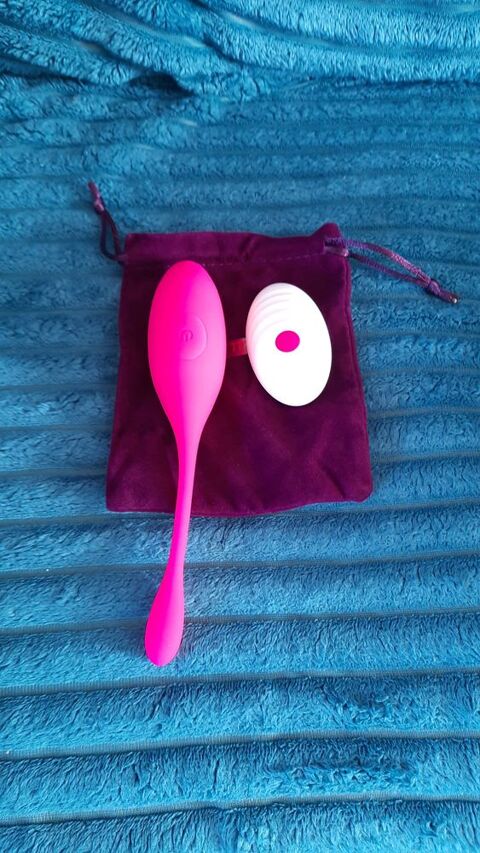 oeuf+Vibrant+connect�+sextoy 12 Dieppe (76)