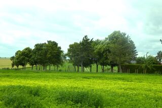 Terrain à vendre 509 m² Bourgogne