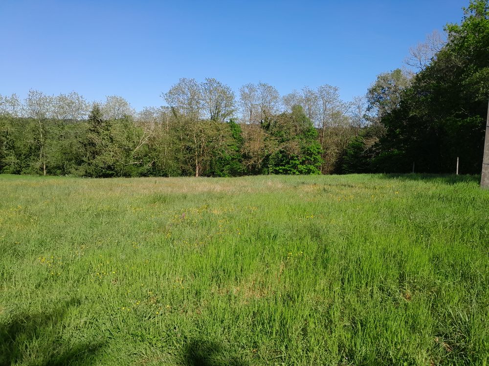 Vente Terrain A SAISIR TERRAIN CONSTRUCTIBLE 2100m² Neuvic