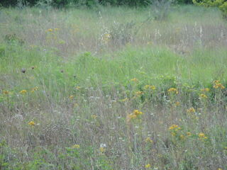  Terrain  vendre 10440 m