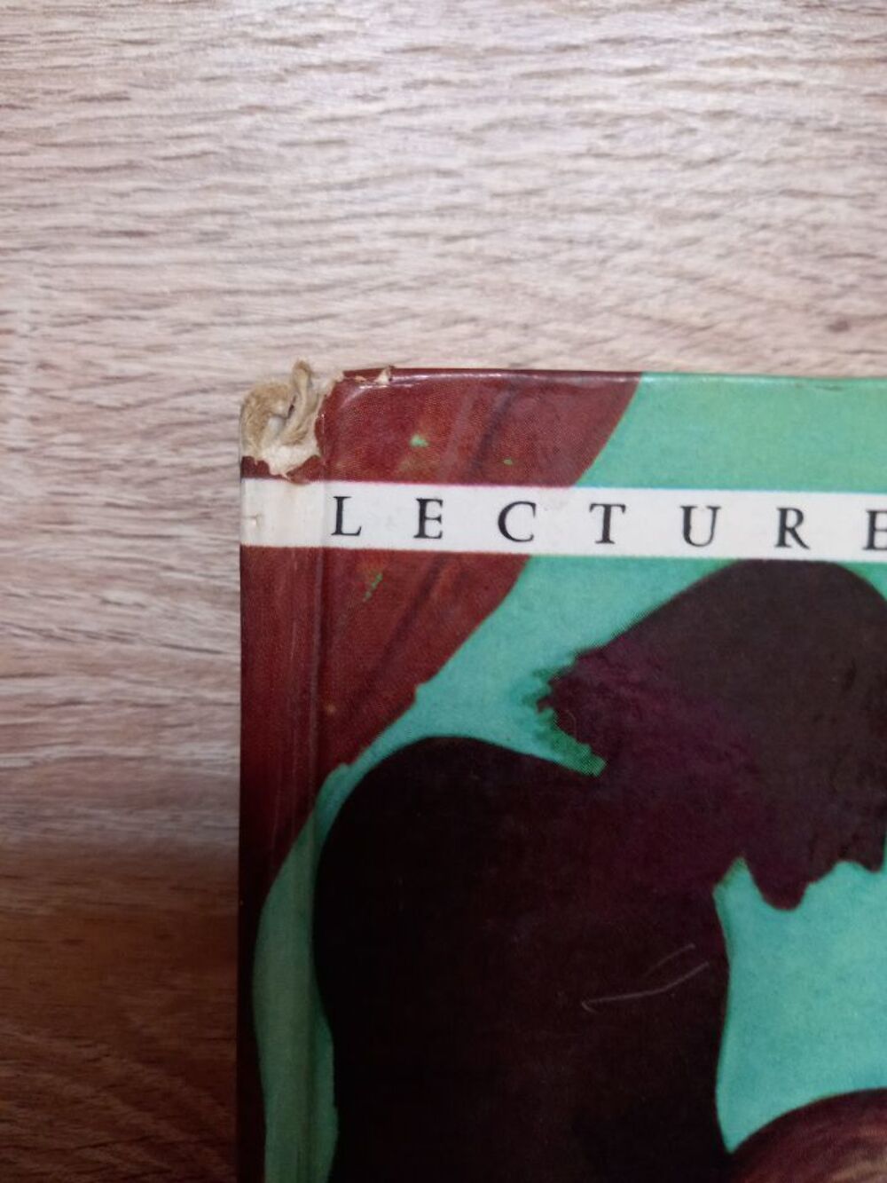 Livre "le bossu" lecture et loisir Livres et BD