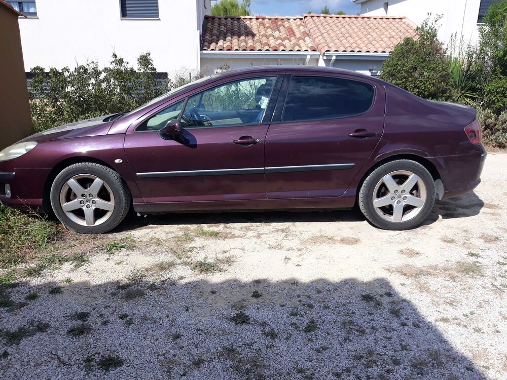 407 2.0 HDi 16v Ex&eacute;cutive Pack FAP A 2005 occasion 83330 Le Castellet