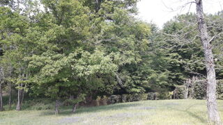  Maison � louer 3/4 pi�ces 100 m�