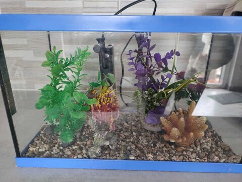 Aquarium environ 21l avec accessoires 25 Haillicourt (62)