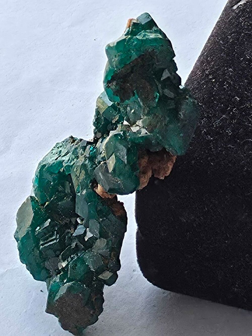 Dioptase brute sur matrice-Min&eacute;ral de collection Katanga 15g 