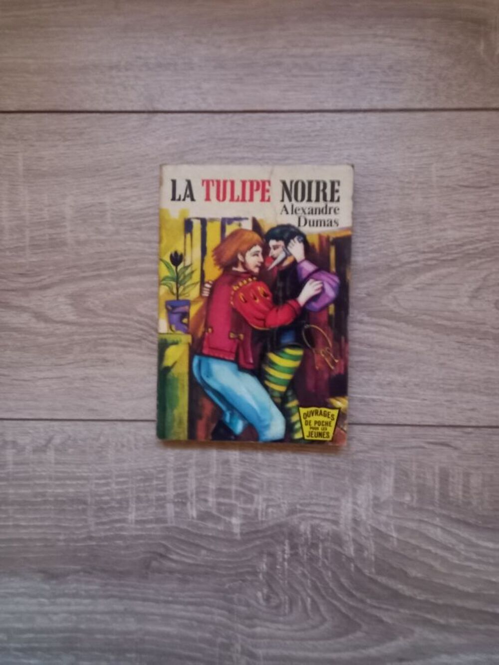 Livre La tulipe noire d'Alexandre Dumas Livres et BD
