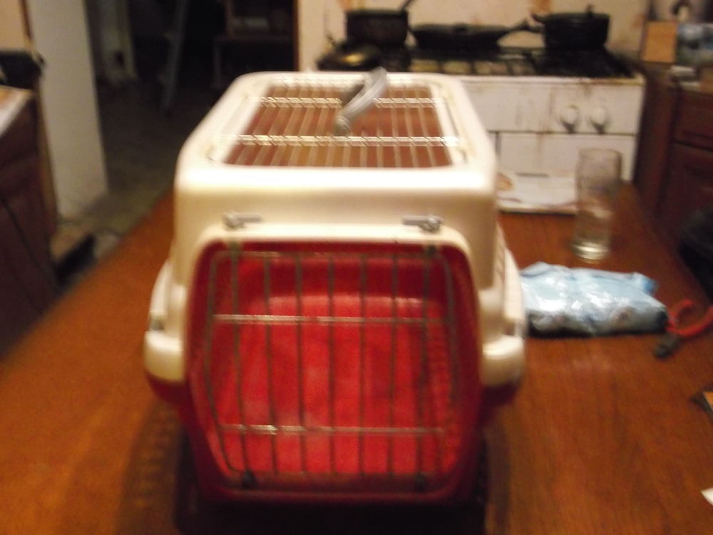 Caisse de Transport Chat Bricolage