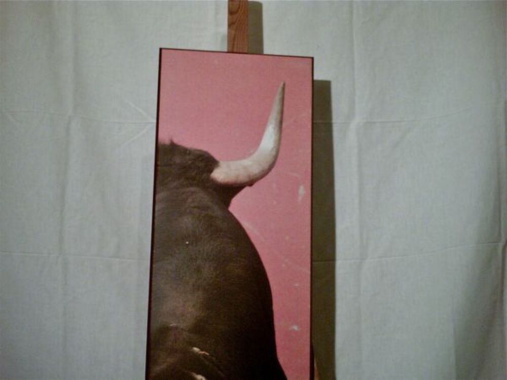TAUROMACHIE : &quot; LA CORNE DROITE &quot; Dcoration