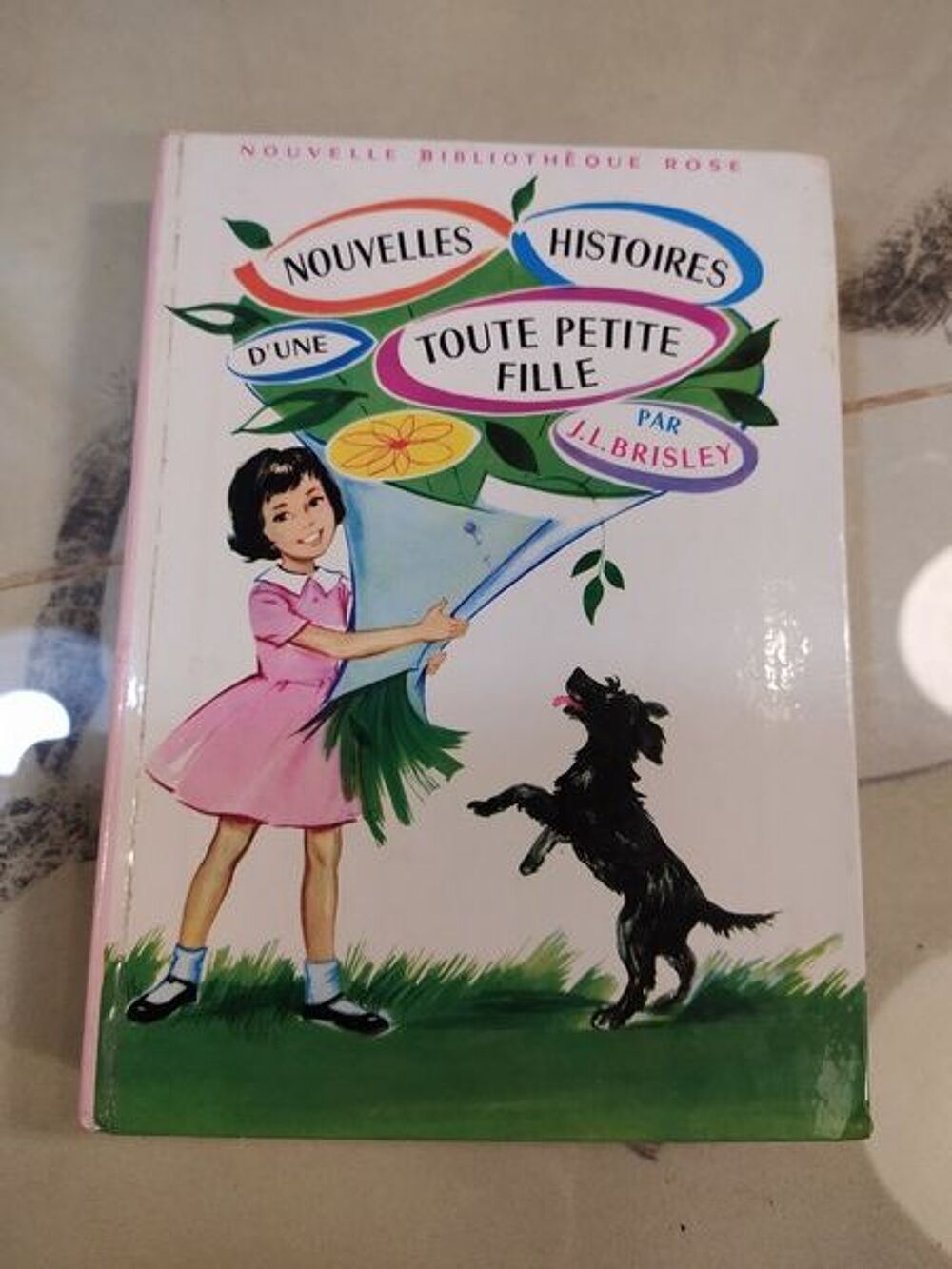 Livres Jeunesse Biblioth&egrave;que Rose Livres et BD