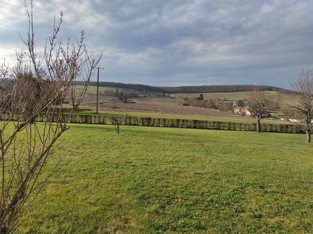 Vente Terrain Terrain constructible Chenôves