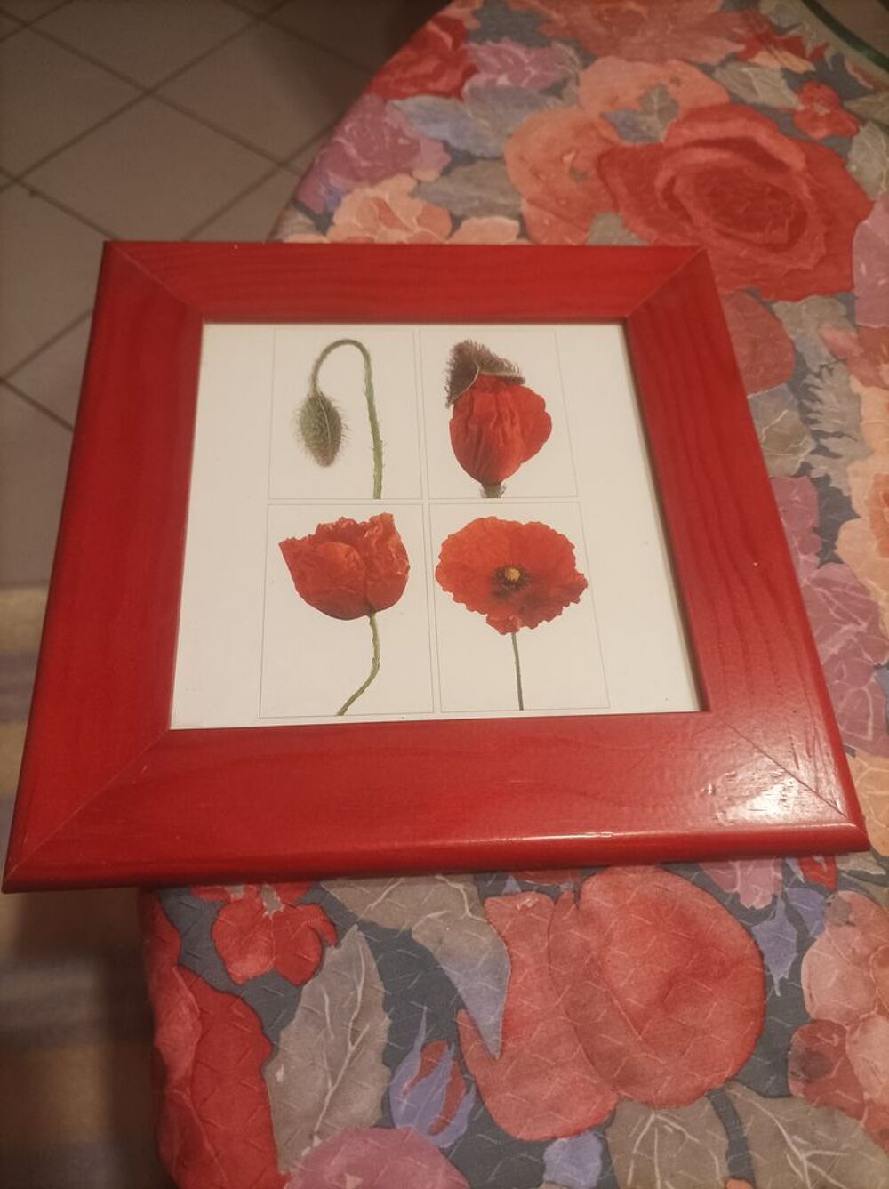3 cadres Décoration