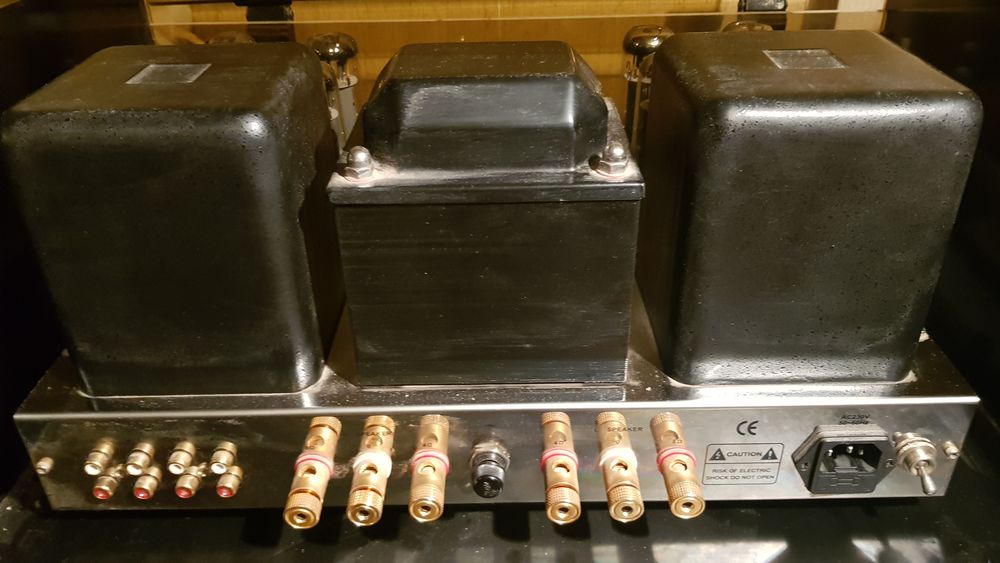  ampli &agrave; tubes americain Bel Canto pure classe A 845 SE Audio et hifi
